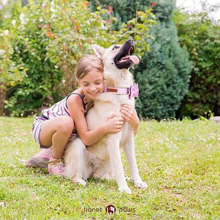 Lionet Paws Dog Collar with Bowtie, Comfortable Adjustable Cute Pink Gingham Bow Tie Collar for Female Dogs Gift, Large, Neck 16-24 inches