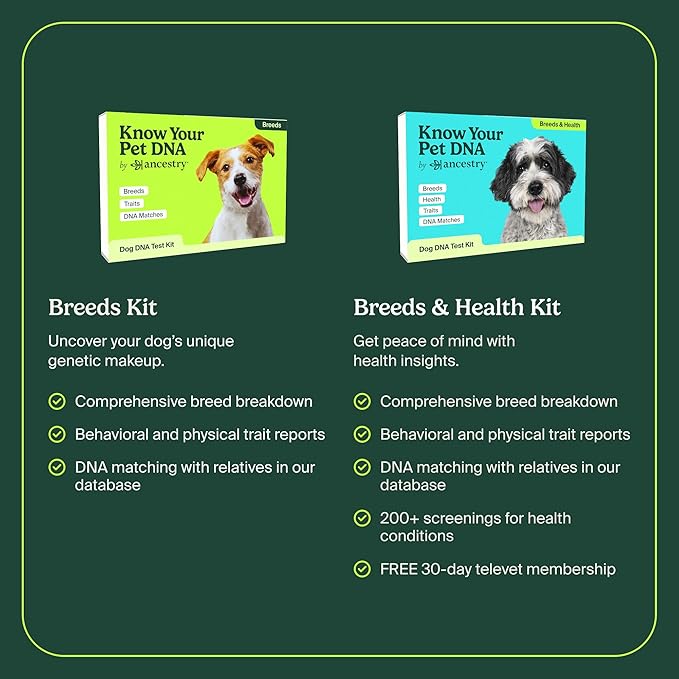 Ancestry Dog DNA Test: at-Home Testing, Breed Identification & Trait Insights, Canine Genetics Analysis, Unique Pet Parent Gift, New Puppy Essentials