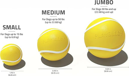 Playology Dog Toys | Squeaky Chew Ball - Bouncy Durable Floating Fetch Ball for Dogs, Value 3-Pack | Small Chicken Scented Toy - Easy to Clean and Made from Non Toxic Materials