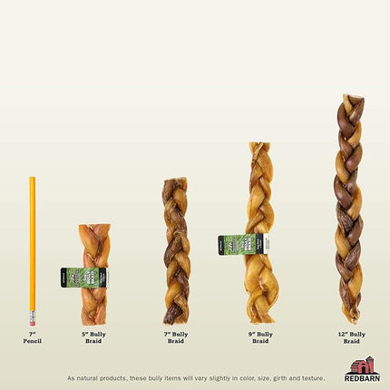 Redbarn Pet Products 12" Braided Bully Sticks for Dogs 2-Count, Pack of 12