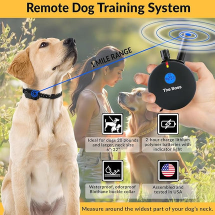 Educator E-Collar Humane Dog Training Collar with Remote, 100 Safe Tapping Stimulation Levels, Night Light, Waterproof, Rechargeable, 1 Mile 2 Large Dogs, Black