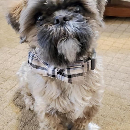 Lionet Paws Dog and Cat Collar with Bowtie Grid Collar Plastic Buckle Light Adjustable Collars for Small Medium Large Dogs