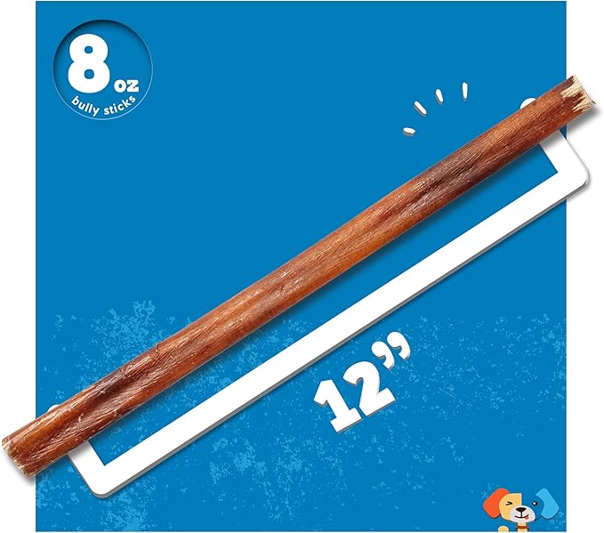 Jack&Pup 12" Bully Sticks Dog Chews | Odor Free Bully Sticks | Single Ingredient, All Natural Pizzle Sticks for Dogs (8oz, 5/6 Sticks)