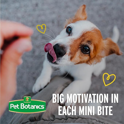 Pet Botanics 4 oz. Pouch Training Rewards Mini Soft & Chewy, Chicken Flavor, with 200 Treats Per Bag, The Choice of Top Trainers (Pack of 2)