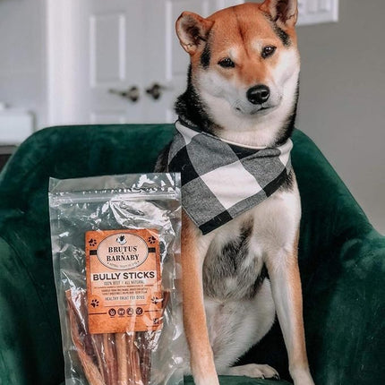 BRUTUS & BARNABY Bully Sticks for Dogs, 6" – Low-to-No Odor, Grass-Fed, Rawhide-Free Chews for Aggressive Power Chewers