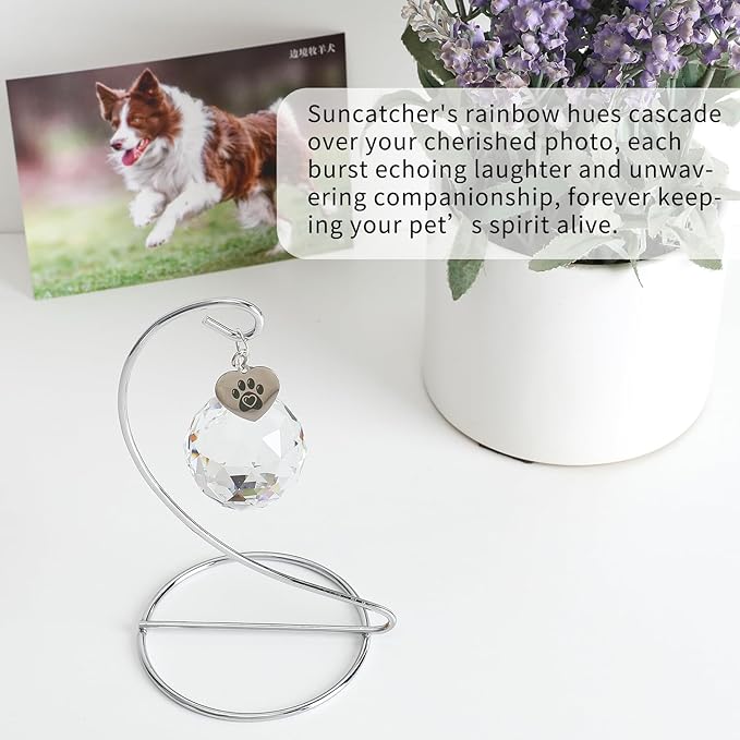 Dog Memorial Gifts, Elegant Pet Sympathy Suncatcher Loss of Dog, Modern Remembrance Prism for Lost Pets with Gift Box and Keepsake Card, Crystal Sun Catcher in Memory of Pet Cat