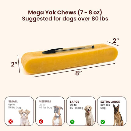 Authentic Himalayan Yak Cheese for Dogs - Mega (Pack of 1) - Sourced from Pristine Himalayan Foothill, Rawhide-Free, NO preservatives