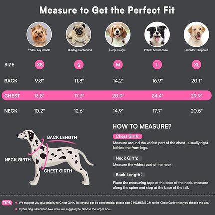 Queenmore Warm Dog Winter Coat, Cold Weather Waterproof Snow Jacket with Reflective Hoodie, Long Sleeves for Small to Large Dogs