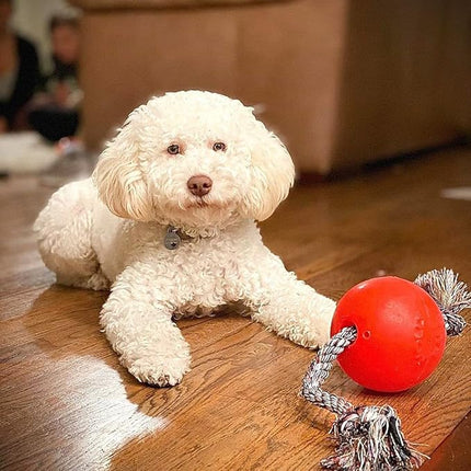 Jolly Pets Romp-n-Roll Rope and Ball Dog Toy, 4.5 Inches/Small, Orange