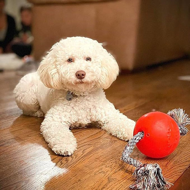 Jolly Pets Romp-n-Roll Rope and Ball Dog Toy, 4.5 Inches/Small, Orange