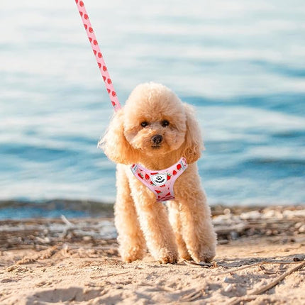 EXPAWLORER Small Dog Harness and Leash Set - Cute Puppy Harness Leash Dog Collar with AirTag Holder Silicone Case, Soft Padded Step in Pet Vest Reflective for Outdoor Walking, Strawberry XXS