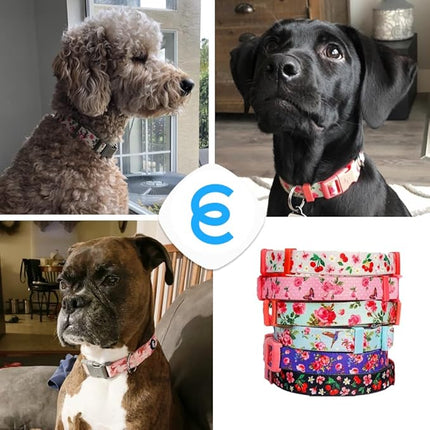 Blueberry Pet 7 Patterns Cherry Garden Grey Adjustable Dog Collar with Dainty Flowers, Large, Neck 18"-26"