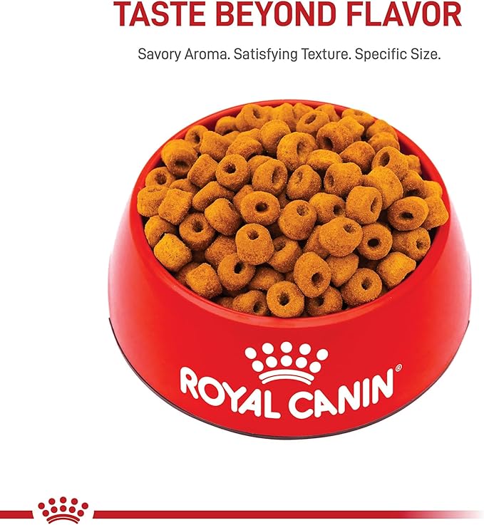 Royal Canin Labrador Retriever Adult Dry Dog Food, 30 lb bag
