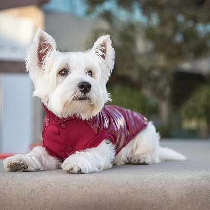 Blueberry Pet Cozy & Comfy Windproof Lightweight Quilted Fall Winter Glossy Dog Puffer Jacket in Deep Rouge, Back Length 22.5", Size 20, Warm Coat for Large Dogs