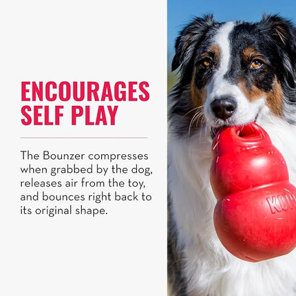 KONG - Bounzer - Medium