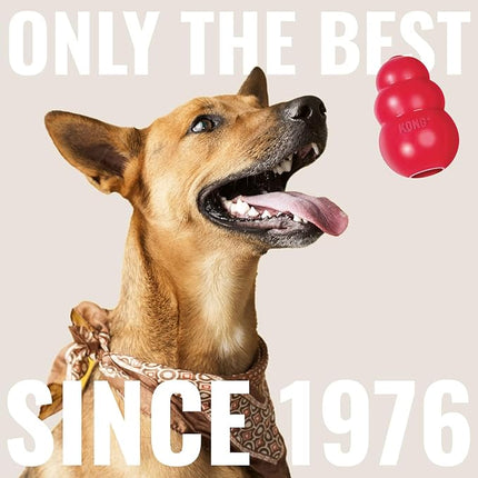 KONG Wild Knots Bear & Signature Balls (2 Pack) - Soft Bear Chew Toy with Rope Interior - Durable Dog Balls for Fetch - for Large Dogs