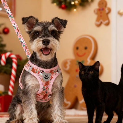 EXPAWLORER Christmas Puppy Harness - Dog Collar and Leash - Soft Mesh Padded Adjustable Step in Small Dog Vest Harness No Pull, Reflective Escape Proof for Outdoor Walking, Red M