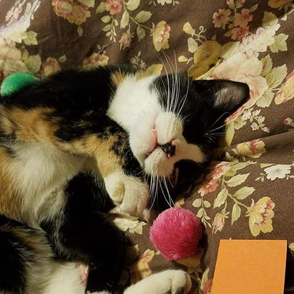 Fashion's Talk Cat Toys Furry Rattle Ball for Kitty 12 Pack