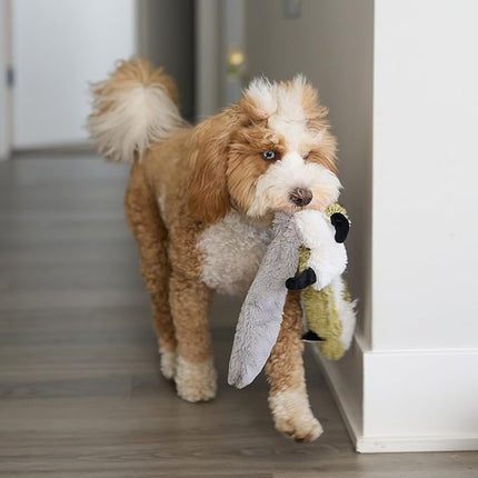 SPOT Skinneeez Raccoon 23 Inch Stuffing-Free Dog Toy – Soft Plush Tug Toy with Two Squeakers for Medium and Large Dogs – Mess-Free Interactive Chew Toy