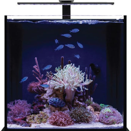 Current USA Orbit LED Adjustable Tank Mount Bracket (4193),aluminum arm