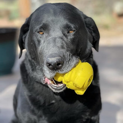 SodaPup Honey Bear – Durable Dog Treat Dispenser & Chew Toy Made in USA from Non-Toxic, Pet Safe, Food Safe Natural Rubber Material for Mental Stimulation, Problem Chewing, Calming Nerves, & More