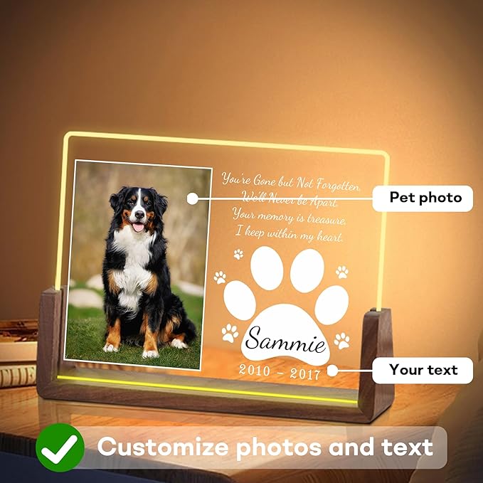 Personalized Pet Memorial Gifts for Dogs, Dog Memorial Gifts for Loss of Dog, in Memory of Dog, Pet Sympathy Gifts for Dogs, Pet Memorial Gifts Cat, Dog Memorial Acrylic Night Light, Pet Loss Gifts