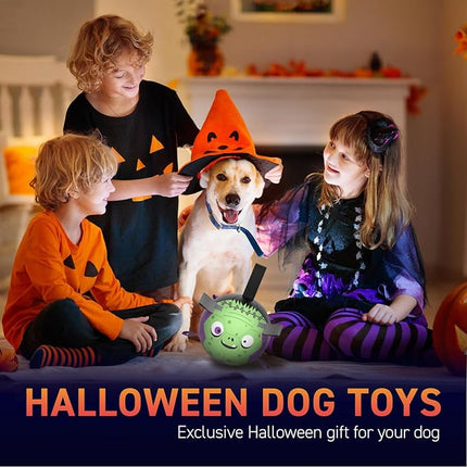 QDAN Dog Toys Ball: Dog Soccer Balls with Straps- Outdoor Herding Balls Toys for Small Medium Dogs- Christmas Puppy Pet Birthday Gifts- 6 Inch Purple Green