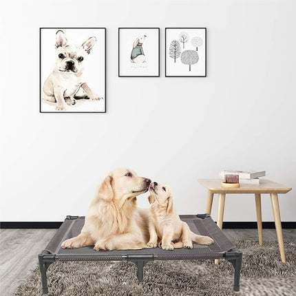 suddus Elevated Dog Bed for Medium Dogs, Dual Support Cooling Cot with Teslin Mesh, Portable Waterproof Pet Bed for Indoor/Outdoor Use, Medium, 30x23x6.3 Inch, Grey