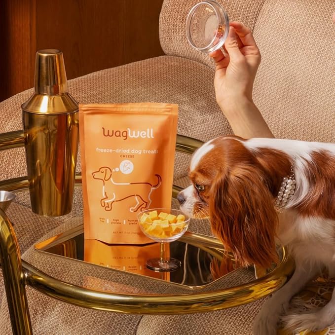 WagWell Freeze Dried Cheese Dog Treats - Grain-Free, High-Protein Pasteurized Dog Treats Made in The USA - Human-Grade, Minimally Processed & Preservatives Free