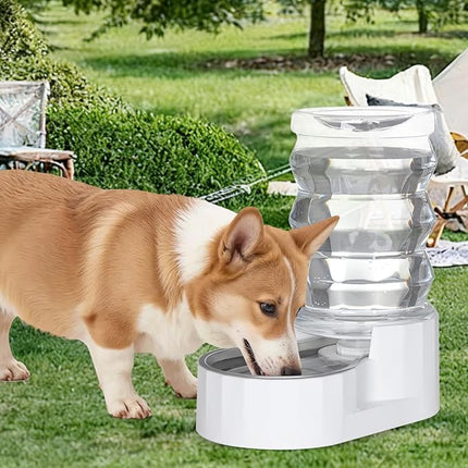 RIZZARI Automatic Gravity Pet Waterer: 6.5L White Stainless Steel Water Dispenser - Large Capacity with Triple Filter and Specialized Brush for Senior Dogs with Spinal Issues - for Living Room Bedroom