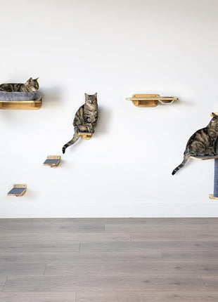 Cat Wall Shelves – Cat Wall Climber with Scratching Post, Removable Bed, Climbing Steps, and Feeding Terrace with Glass Bowls, Waterproof Rubberwood Pet Furniture