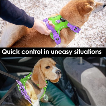 PHOEPET No Pull Dog Harness, Unique Colors Reflective Adjustable Dog Vest, with Soft Training Handle Metal Clips for Small Medium Large Dogs (Green Base & Purple Straps,S)