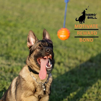 Nero Ball Pro K-9 Dog Training Ball on Rope – 2.75″ Heavy-Duty Natural Rubber Reward & Tug Toy with Nylon Throw Handle – High-Visibility Orange – Police, Military & Sport Working Dogs Fetch