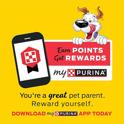 Purina Beggin' Strips With Real Meat Dog Training Treats With Bacon and Cheese Flavors - (Pack of 2) 26 oz. Pouches