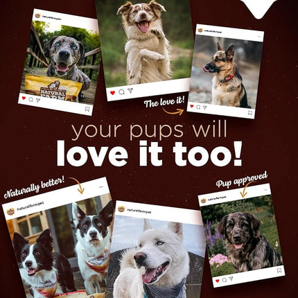 Natural Farm Bully Cheek Stick, 10-12 Inch (12-Pack)- Best Bully Stick Alternative, 100% Natural Beef Cheeks for Dogs- High Protein, Cleans Teeth Treats, Long Lasting Beef Chews for All Dog Sizes