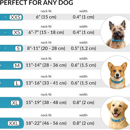 CollarDirect Rolled Leather Dog Collar, Soft Padded Round Puppy Collar, Handmade Genuine Leather Collar Dog Small Large Cat Collars 13 Colors (18-22 Inch, Light Blue Smooth)