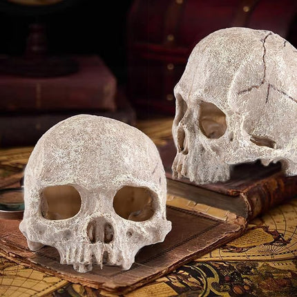 Carefree Fish Aquarium Decoration Skull Fish Tank Head Skeleton Aquarium Decorative Cave Landscape Pet Reptile House