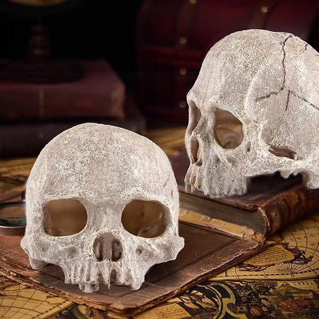 Carefree Fish Aquarium Decoration Skull Fish Tank Head Skeleton Aquarium Decorative Cave Landscape Pet Reptile House