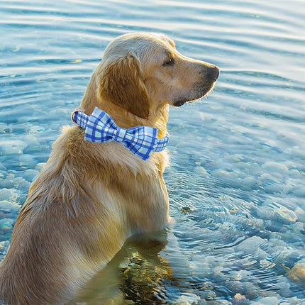 Elegant Little Tail Blue Plaid Dog Collar Bow with Metal Buckle - Soft, Adjustable for X-Small Dogs
