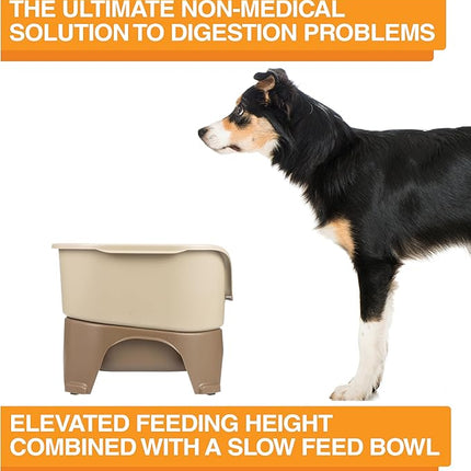Neater Feeder - Express Model w/Slow Feed Bowl - Mess-Proof Dog Bowls (M/L, Cappuccino) Made in USA –Elevated, No Spill, Non-Tip, Non-Slip, Raised Stainless Steel Food/Water Pet Bowls Aid Digestion