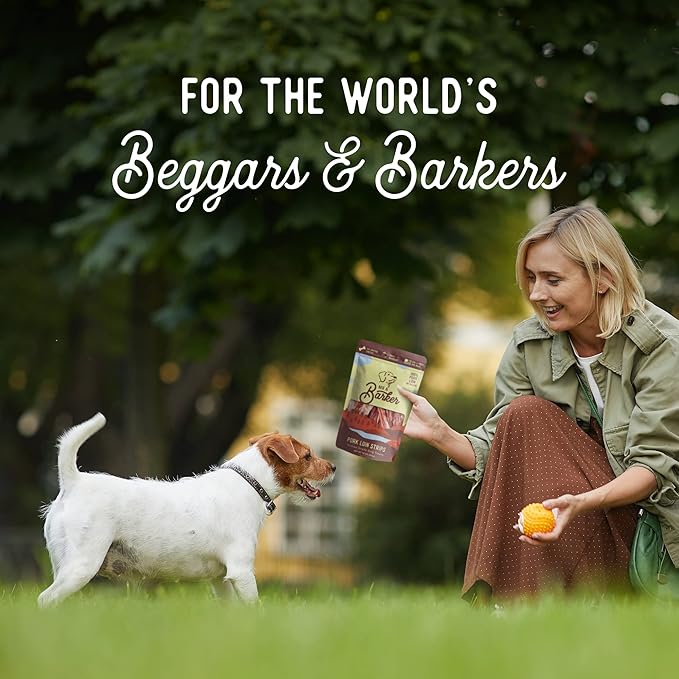 Beg & Barker Pork Jerky for Dogs (10 Ounce, Pack of 2) - Dog Training Treats - Natural Dog Treats Made in The USA - Grain Free, Diabetic-Friendly, High Protein, Sugar-Free