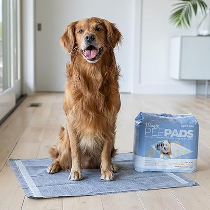 Alpha Paw - Magic Dog & Puppy Pee Pads - Puppy Pads with Charcoal, Extra Thick 6 Layers + Gel Tech Absorbs 6 Cups, Advanced Quick-Dry Indoor Wee Wee Pads for Dogs Training - XL Dog Pads 26”x30” 40 CT
