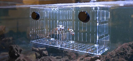 Magnetic Acclimation Box fish Breeder Nursery isolation Tank