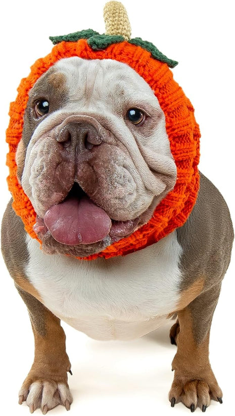 Zoo Snoods Pumpkin Dog Costume - Warm Crochet Snood Wrap for Pets, Neck Ear Cover Protection, Halloween Winter (Large)