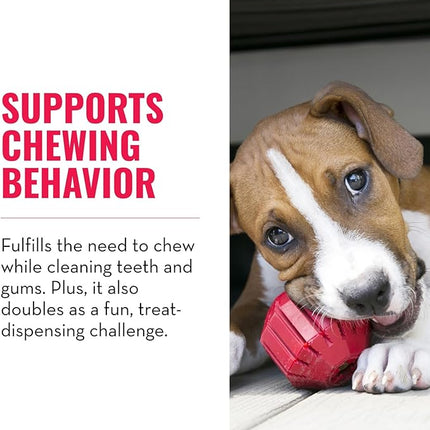 KONG Stuff-A-Ball - Durable Chew Toy for Dogs - Natural Rubber Dog Toy for Dental Health - Pet Toy for Chewing & Teeth Cleaning - Stuffable Toy for Dog Treats & Snacks - for Large Dogs