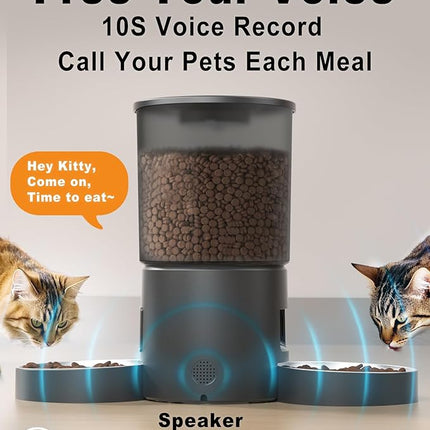 Automatic Cat Feeder for 2 Cats, 4.2L Dual Food Dispenser, Up to 6 Meals/Day, Portion Control, Voice Message, Dual Power Options (Transparent+Black, Dual Stainless Steel Bowls)