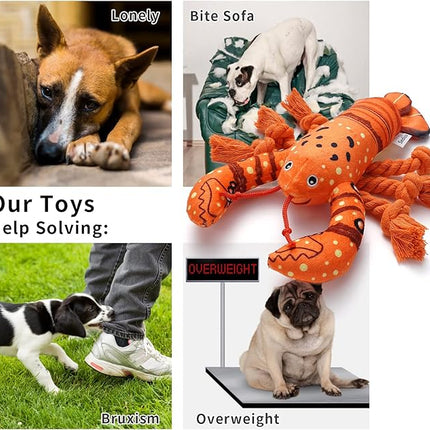 Dog Toys, Dog Plush Toy for Large Breed, Cute Squeaky Dogs Toy with Crinkle Paper, Puppy Chew Toy for Small, Middle, Large Breed (Lobster)