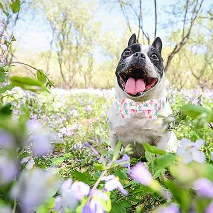 Lionheart glory Dog Bow Collar Dinosaurs Pattern Cute Collars for Large Dogs,Soft Duty Adjustable Dog Collar with Bowtie Spring Summer Puppy Collars Bows Pet Gift