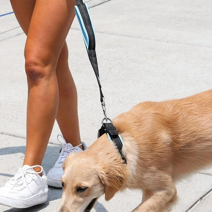 Black Rhino Extra Large Dog Collar - Adjustable Reflective Heavy Duty Dog Collars with Ultra-Soft Neoprene Padding - Weatherproof, Durable, and Comfortable - Ideal for Active Dogs - Aqua and Gray