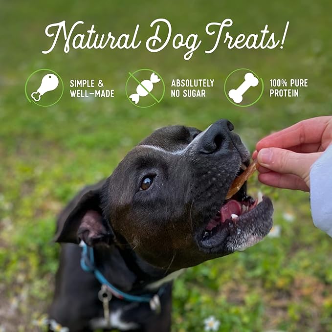 Beg & Barker Chicken Jerky for Dogs (10 Ounce, Pack of 1) - Dog Training Treats - Natural Dog Treats Made in The USA - Grain Free, Diabetic-Friendly, High Protein, Sugar-Free